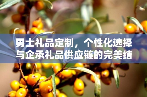男士礼品定制，个性化选择与企承礼品供应链的完美结合